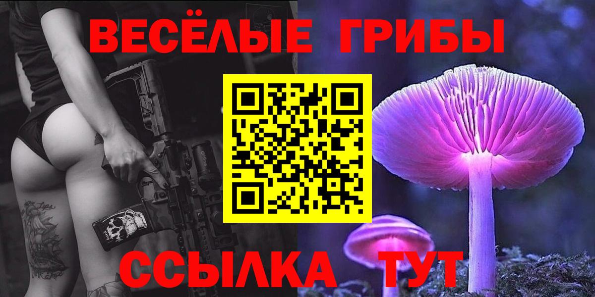 Псилоцибиновые грибы Cubensis Саранск