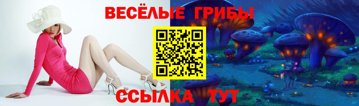 Галлюциногенные грибы Psilocybe  Вход с VPN  Псилоцибиновые грибы Cubensis  Саранск 